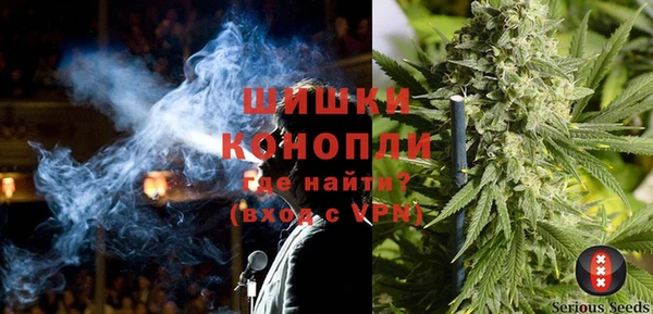 PSILOCYBIN Фурманов