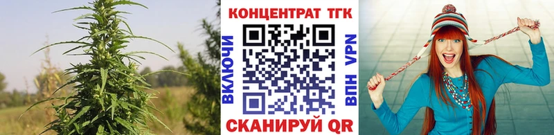 ТГК вейп  Купить где  Салехард 